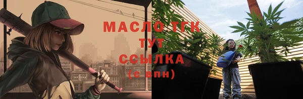 стаф Арсеньев