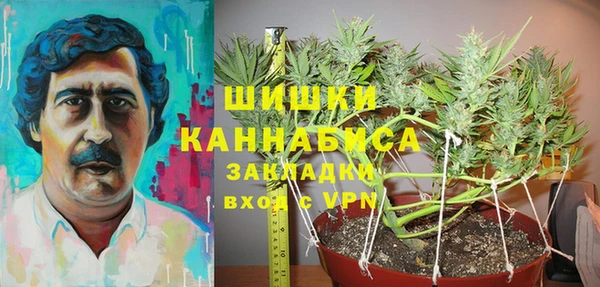 стаф Арсеньев