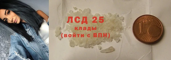 стаф Арсеньев