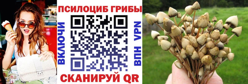 Псилоцибиновые грибы Magic Shrooms  KRAKEN вход  Могоча 
